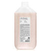 FarmaVita Back Bar No.01 Color Shampoo fig & Almond 5 lt.